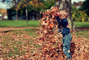 Kid_in_leaves